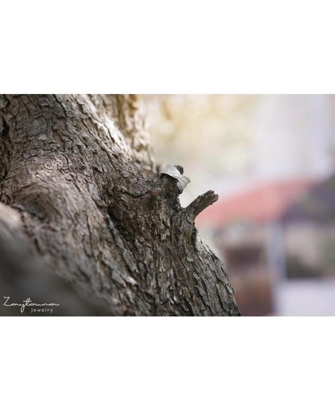 Two Wrapping leaves ring