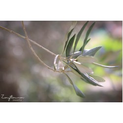 Single leaf Ring